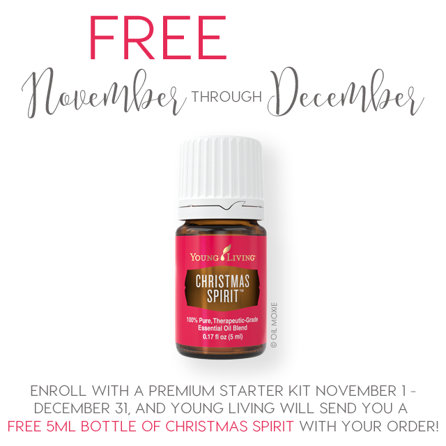 Free Christmas Spirit November - December!