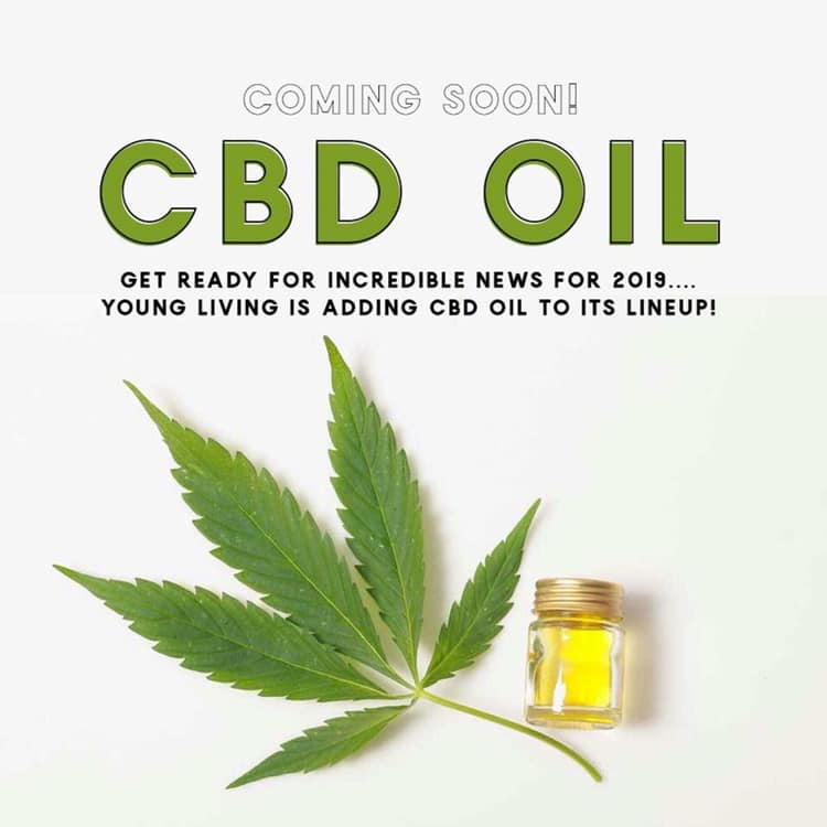 Young Living CBD Oil