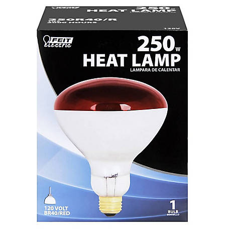 Heat Lamp Bulb