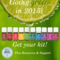 Going Green in 2015? Get Your Kit!