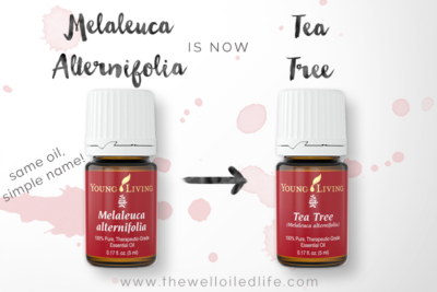 Young Living Melaleuca Alternifolia is now Tea Tree