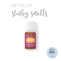 Get Rid of Stinky Smells