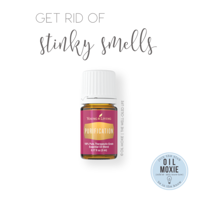 Get Rid of Stinky Smells