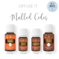 Mulled Cider Diffuser Recipe