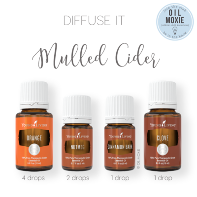 Mulled Cider Diffuser Recipe