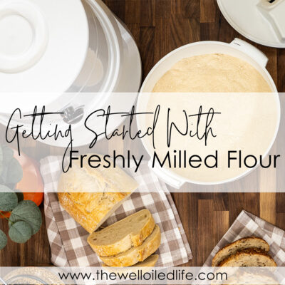Getting Started With Freshly Milled Flour