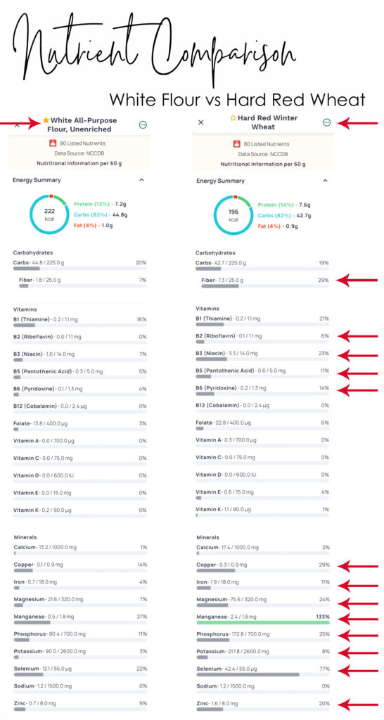 Nutrition Comparison of White Flour vs Hard Red Wheat